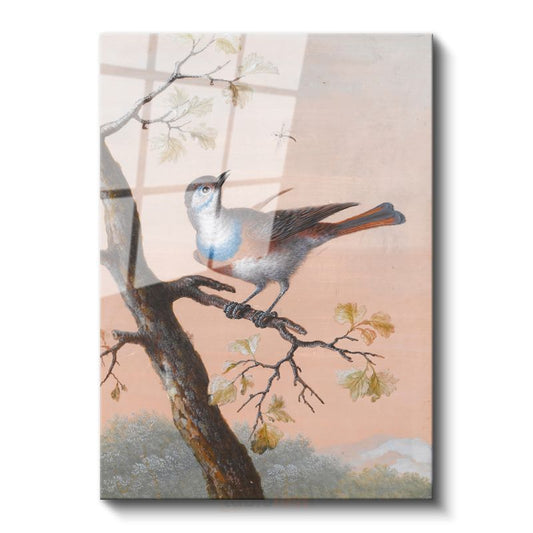 John James Audubon - Mavi Göğüslü Kuş Cam Tablo