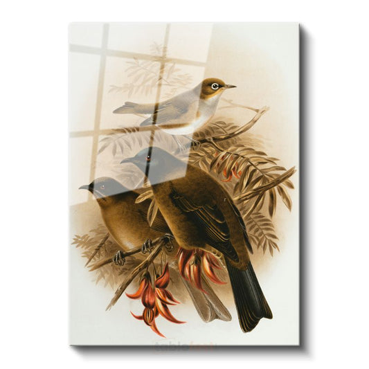 John Gould - Dalda Üç Kuş Cam Tablo