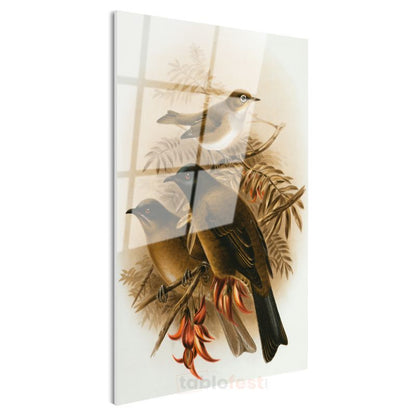John Gould - Dalda Üç Kuş Cam Tablo
