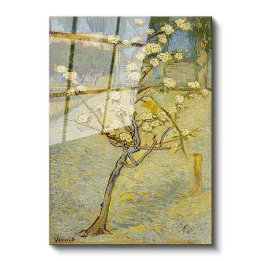 Vincent van Gogh - Çiçek Açan Armut Ağacı Cam Tablo