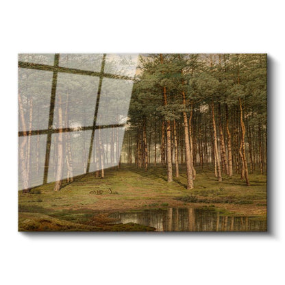 Ivan Shishkin - Çam Ormanı Cam Tablo