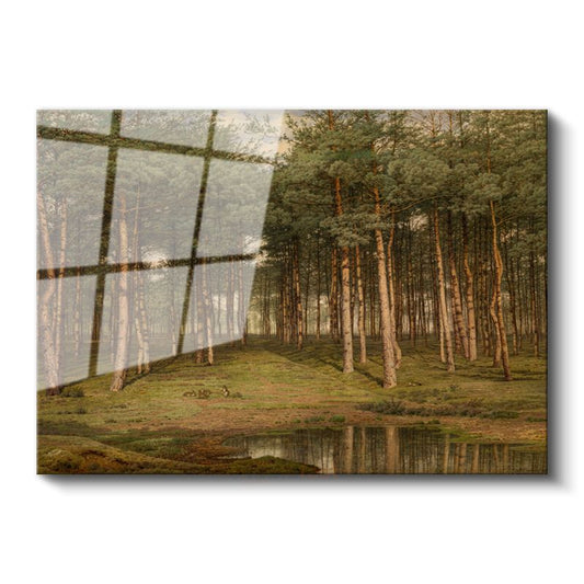 Ivan Shishkin - Çam Ormanı Cam Tablo