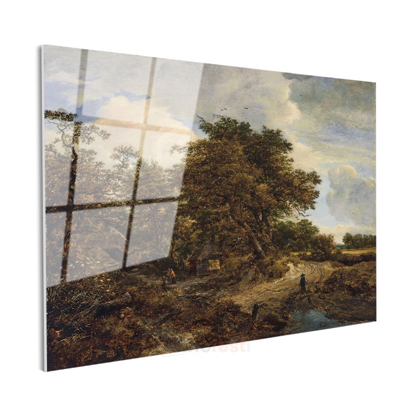 Jacob van Ruisdael - Meşe Ağaçlı Kırsal Manzara Cam Tablo
