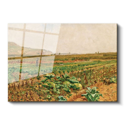 Claude Monet - Lahana Tarlası Cam Tablo