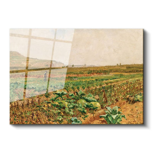 Claude Monet - Lahana Tarlası Cam Tablo
