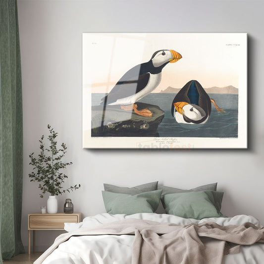 John James Audubon - Büyük Gagalı Deniz Papağanları Cam Tablo