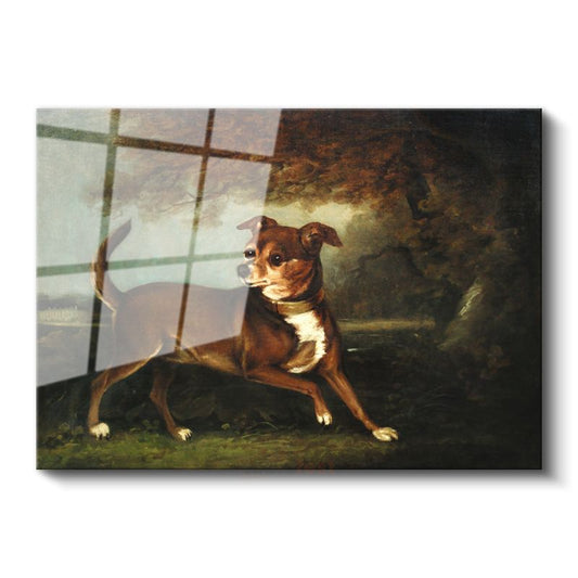 George Stubbs - Manzarada Köpek Portresi Cam Tablo
