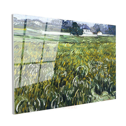 Vincent van Gogh - Buğday Tarlası Cam Tablo