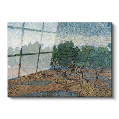 Vincent van Gogh - Zeytin Ağaçları Cam Tablo