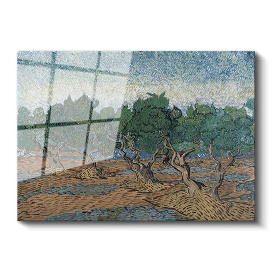 Vincent van Gogh - Zeytin Ağaçları Cam Tablo