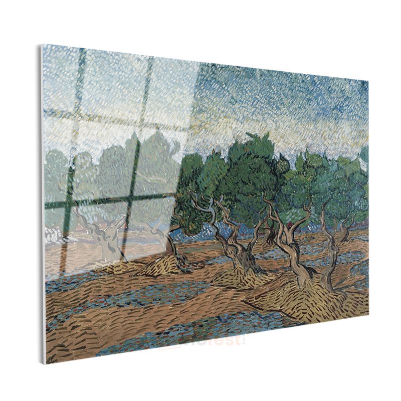 Vincent van Gogh - Zeytin Ağaçları Cam Tablo