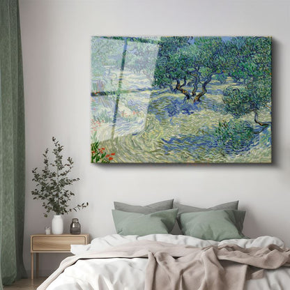 Vincent van Gogh - Zeytin Bahçesi Cam Tablo