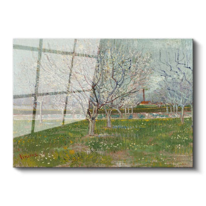 Vincent van Gogh - Çiçek Açan Meyve Ağaçları Cam Tablo