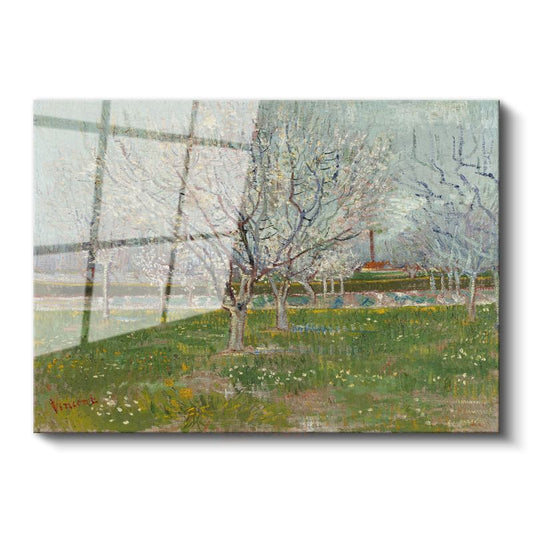 Vincent van Gogh - Çiçek Açan Meyve Ağaçları Cam Tablo