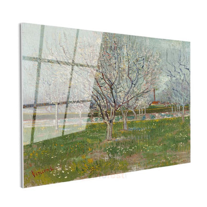 Vincent van Gogh - Çiçek Açan Meyve Ağaçları Cam Tablo