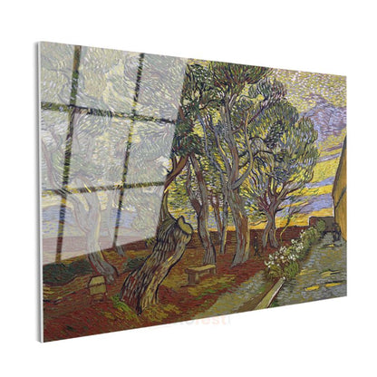 Vincent van Gogh - Hastane Bahçesindeki Ağaçlar Cam Tablo