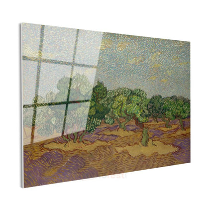 Vincent van Gogh - Zeytin Ağaçları Cam Tablo