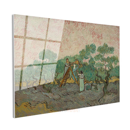 Vincent van Gogh - Zeytin Toplayan Kadınlar Cam Tablo