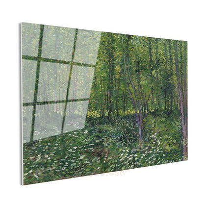 Vincent van Gogh - Ağaçlar ve Çalılık Cam Tablo