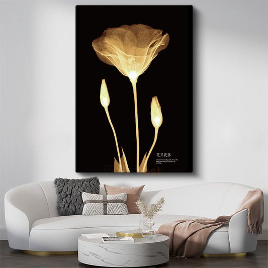 Altın Gelincik - Minimalist Transparan Çiçek Kanvas Tablo