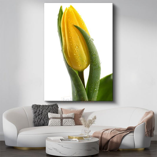 Sarı Lale - Çiy Damlalı Minimalist Çiçek Portresi Kanvas Tablo