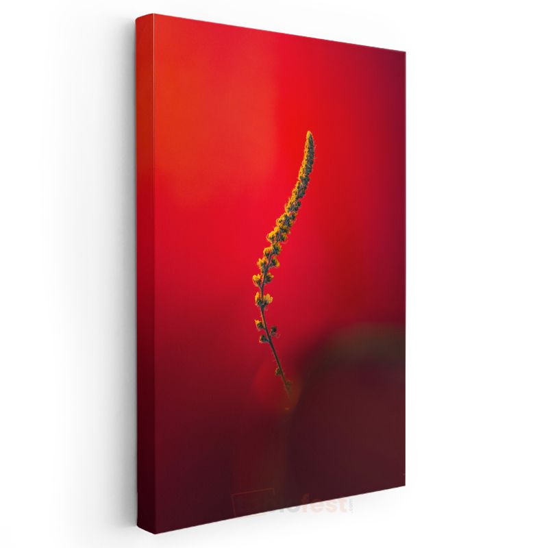 Kırmızı Senfoni - Minimalist Çiçek Dalı Kanvas Tablo