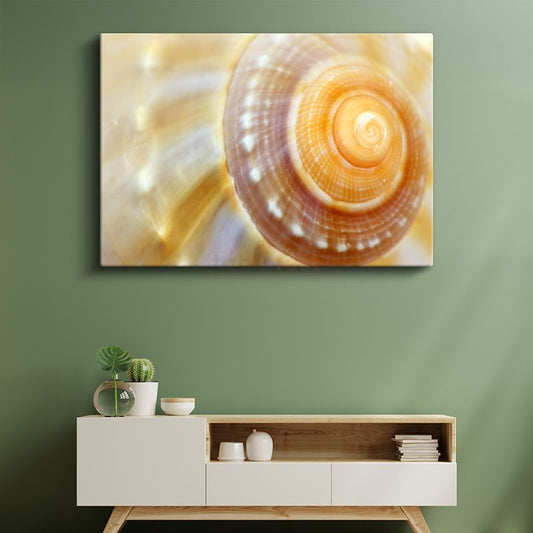 Deniz Kabuğu - Altın Spiral Desen Kanvas Tablo