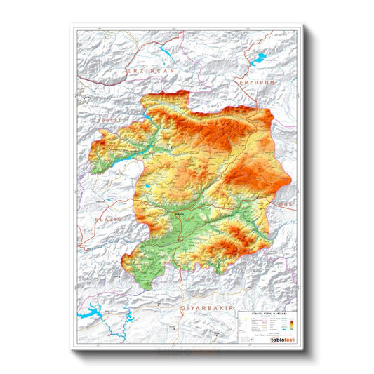 Bingöl - İl Haritası Kanvas Tablo