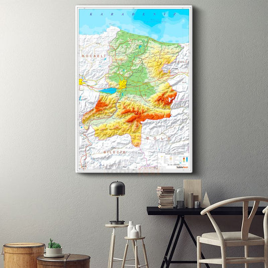 Sakarya - Fiziki Haritası Kanvas Tablo