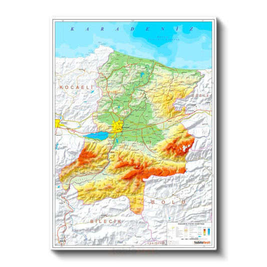 Sakarya - Fiziki Haritası Kanvas Tablo