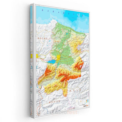 Sakarya - Fiziki Haritası Kanvas Tablo