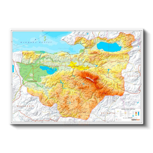Bursa - Fiziki Haritası Kanvas Tablo