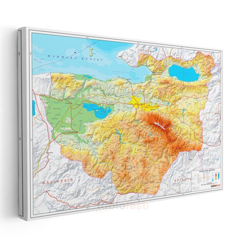 Bursa - Fiziki Haritası Kanvas Tablo