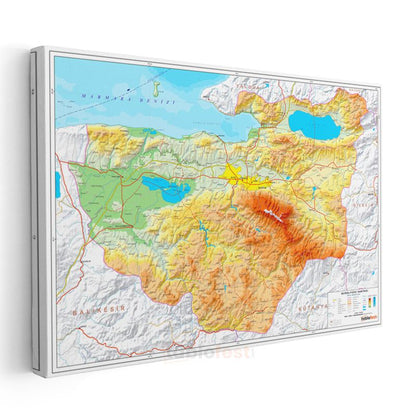 Bursa - Fiziki Haritası Kanvas Tablo