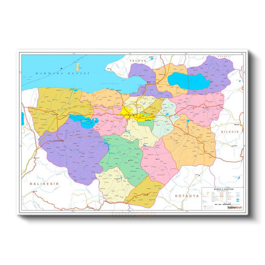 Bursa - İl Haritası Kanvas Tablo