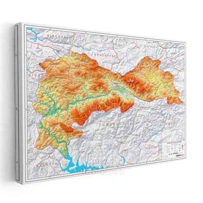 Erzincan - Fiziki Haritası Kanvas Tablo