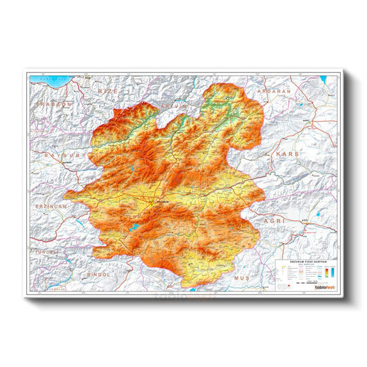 Erzurum - Fiziki Haritası Kanvas Tablo