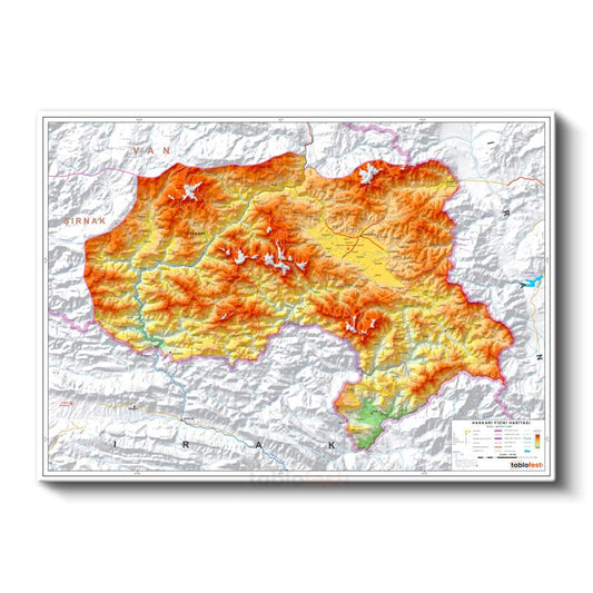 Hakkari - Fiziki Haritası Kanvas Tablo