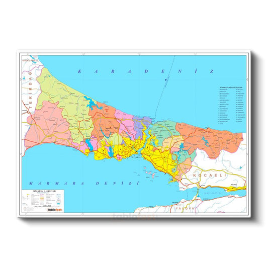 İstanbul - İl Haritası Kanvas Tablo