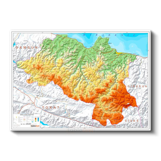 Ordu - Fiziki Haritası Kanvas Tablo