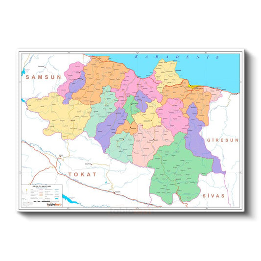 Ordu - İl Haritası Kanvas Tablo