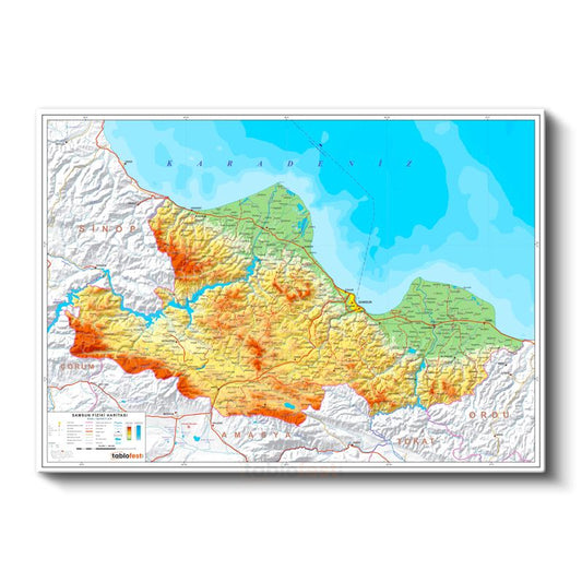 Samsun - Fiziki Haritası Kanvas Tablo