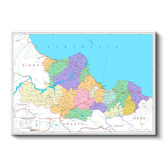 Samsun - İl Haritası Kanvas Tablo
