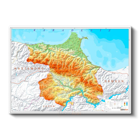 Sinop - Fiziki Haritası Kanvas Tablo