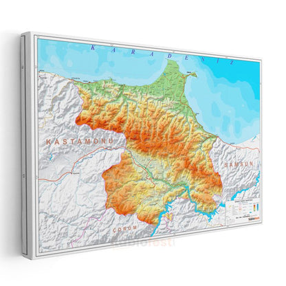 Sinop - Fiziki Haritası Kanvas Tablo