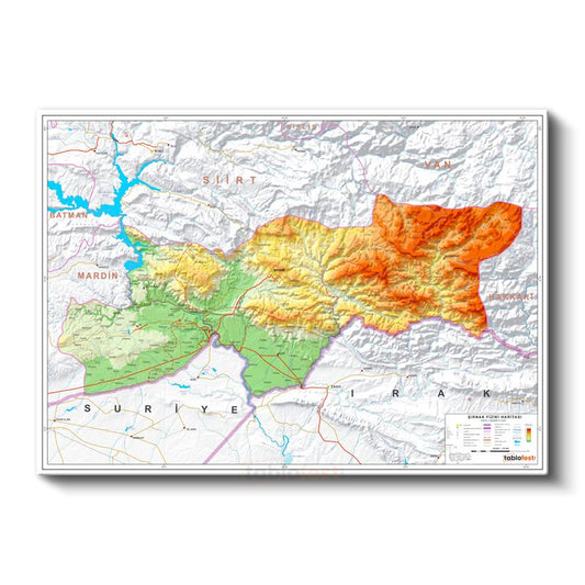 Şırnak - Fiziki Haritası Kanvas Tablo