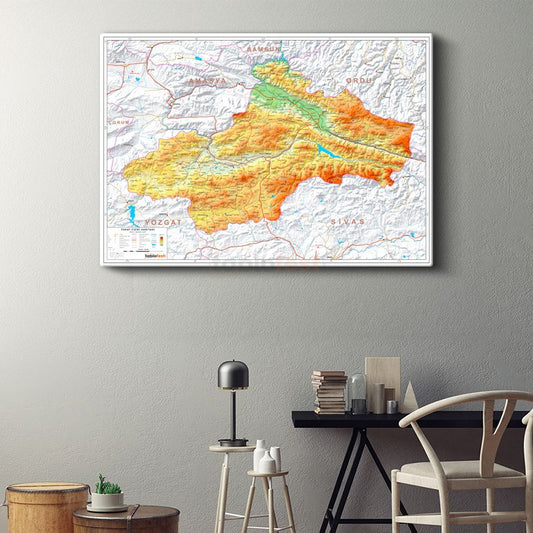 Tokat - Fiziki Haritası Kanvas Tablo