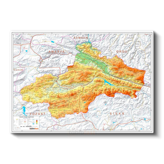 Tokat - Fiziki Haritası Kanvas Tablo
