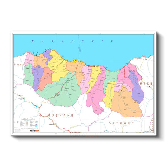 Trabzon - İl Haritası Kanvas Tablo