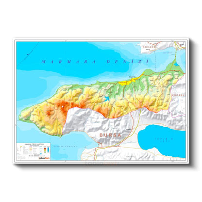 Yalova - Fiziki Haritası Kanvas Tablo